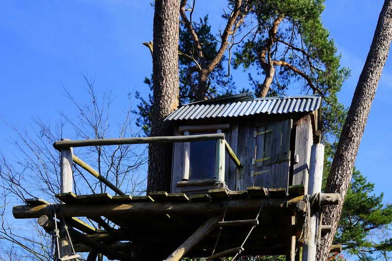 Treehouse Retreat at Night